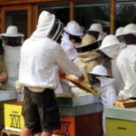 Fête du miel et de la Nature 2026
