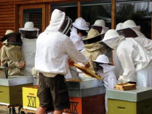 Fête du miel et de la Nature 2026