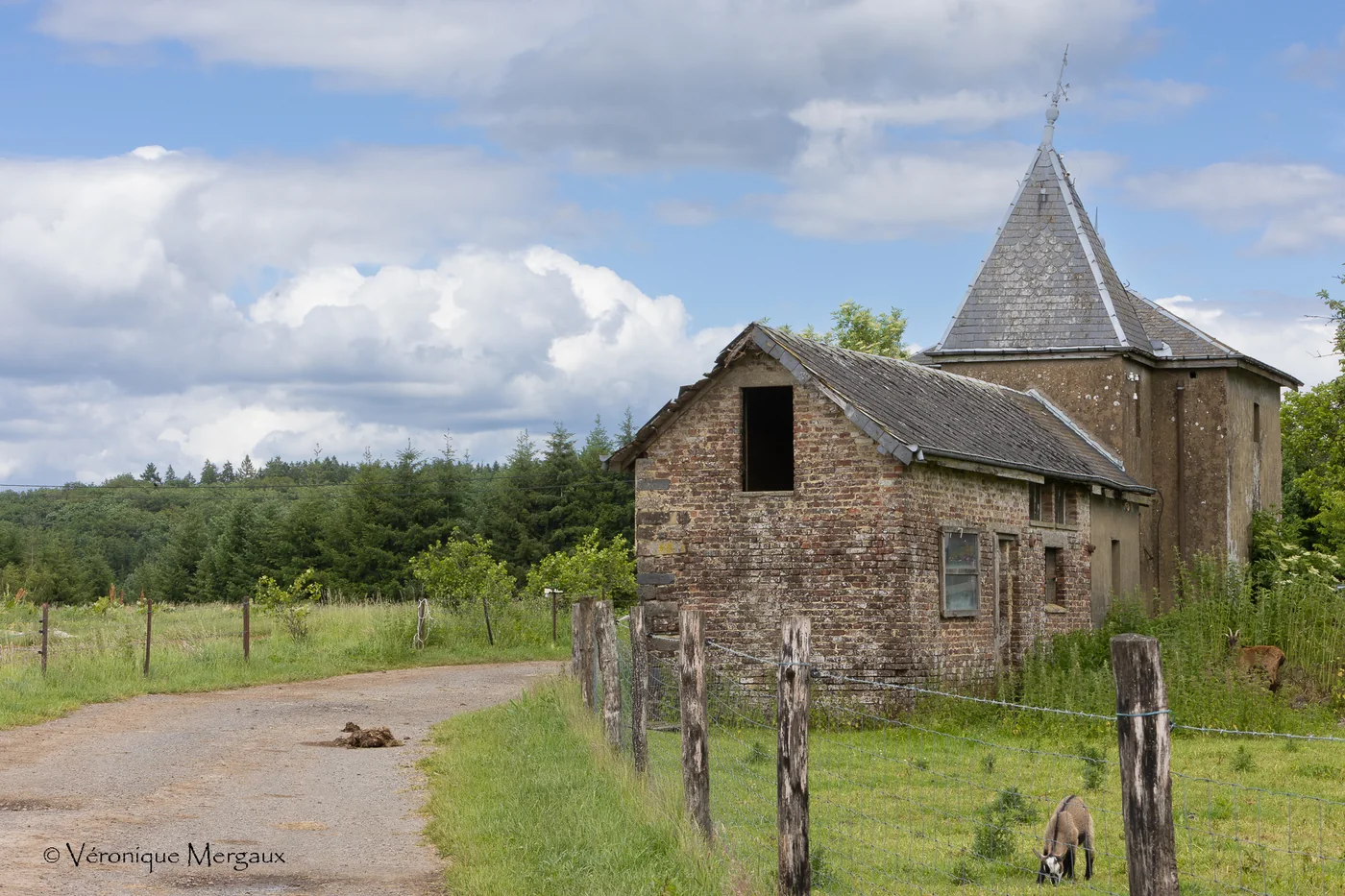 Ferme du Château Vert, Habay – © Ferme du Château Vert