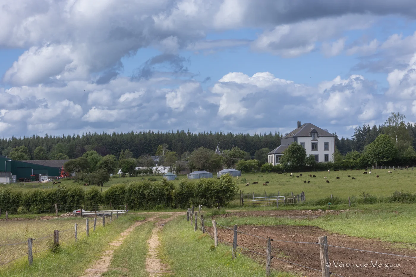 Ferme du Château Vert, Habay – © Ferme du Château Vert