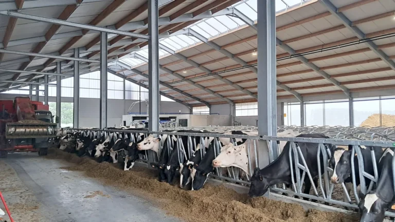 Braine-le-Comte > Fermes ouvertes > Ferme Les 5 Epines