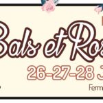 Festival folk: Bals & Roses 2026