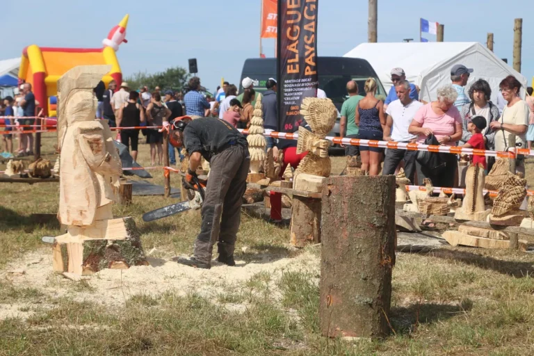 Vresse-sur-Semois > Animation > Fête du bois
