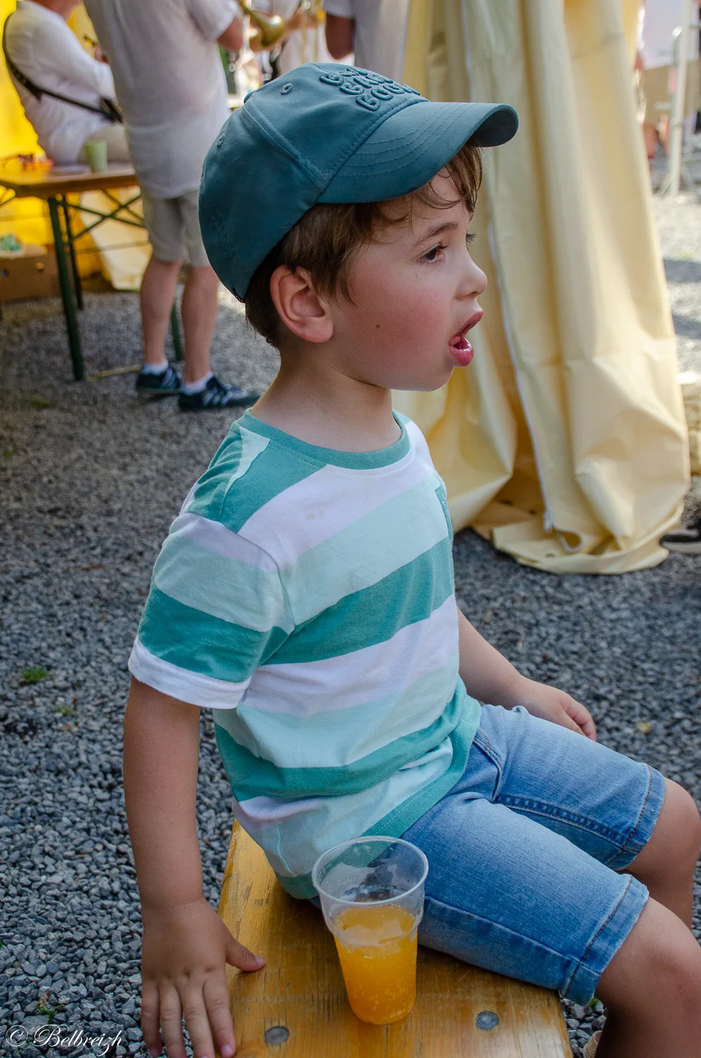 Fête de la Musique 2026 à Barvaux (Parc Juliénas, Durbuy) – © Belbreizh (Paty)