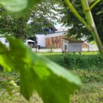 Flânerie dans les vignes du Domaine W 2026