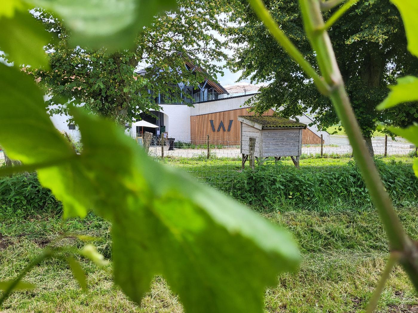 Affiche officielle Flânerie dans les vignes du Domaine W 2026