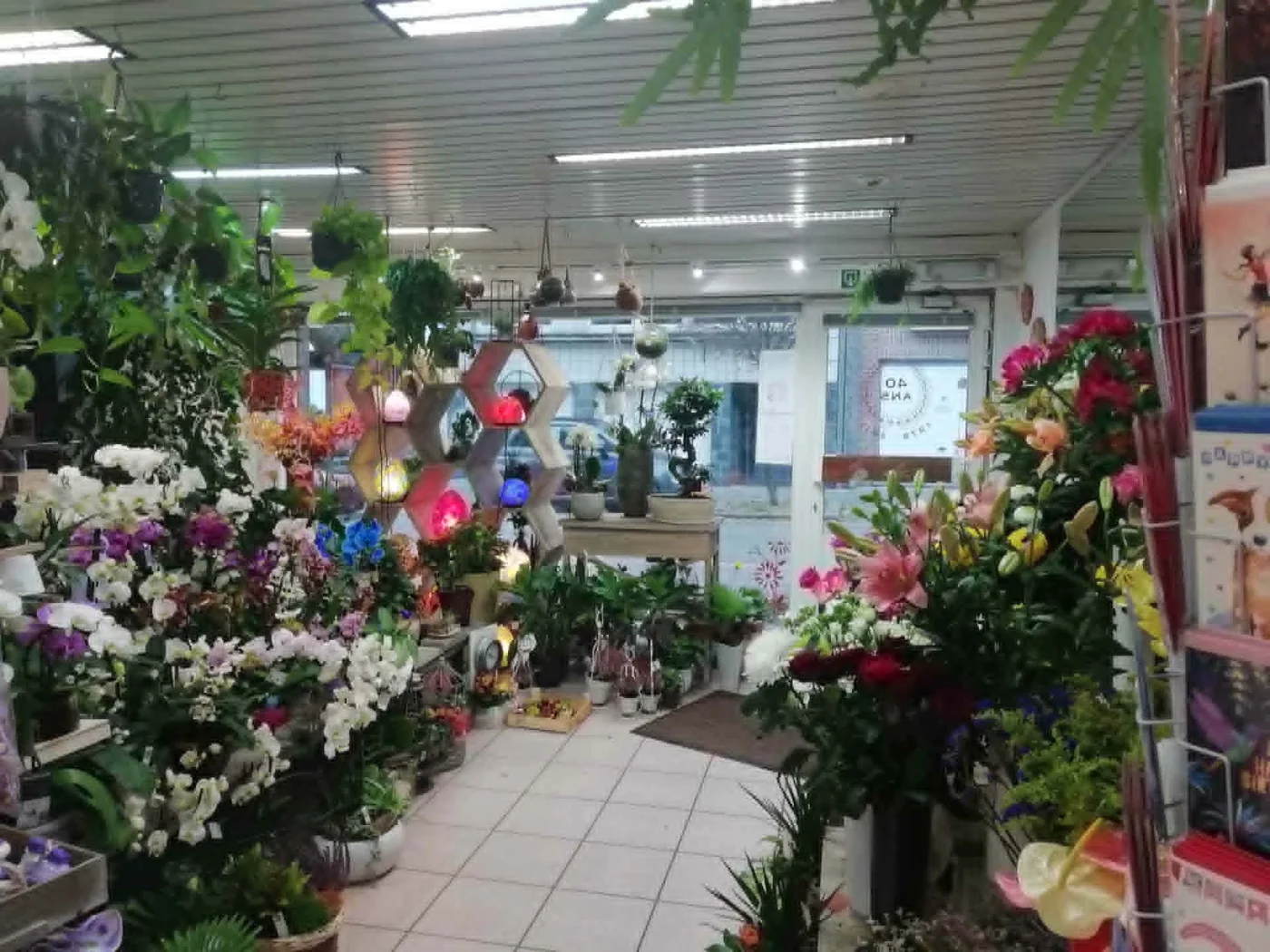 Les Fleurs de Martine Pays a Braine-l Alleud - photos