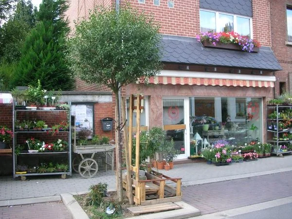 Les Fleurs de Martine Pays a Braine-l Alleud - photos