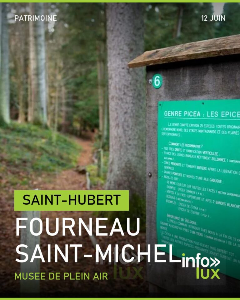 Fourneau Saint-Michel (Saint-Hubert) : le musée de plein air de la vie rurale en Wallonie - carte sociale info-lux