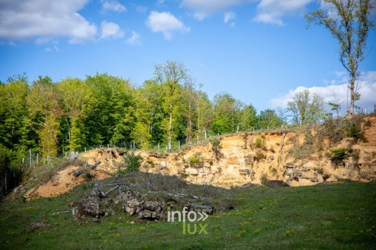 La carriere de Tattert (Attert) : sentier geologique et fossiles de la vallee de l’Attert