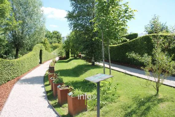 Plantes médicinales du jardin Herba Sana à Elsenborn, Butgenbach