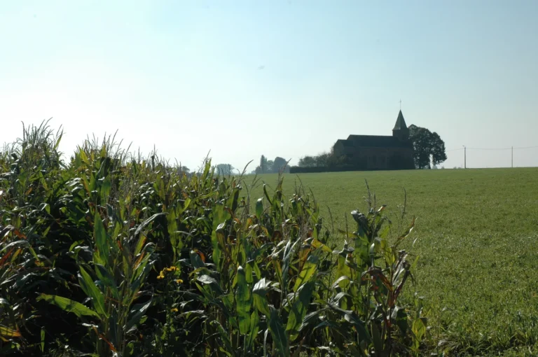 L’église des Alouettes à Sombreffe : la chapelle oubliée au milieu des champs