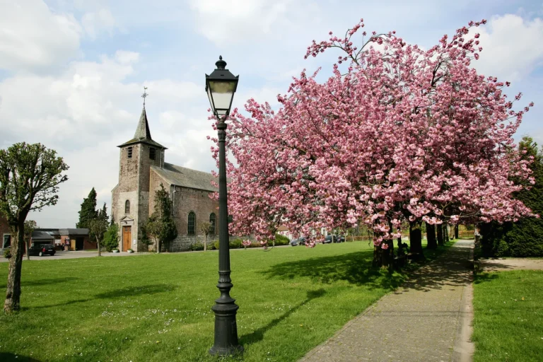 Église Sainte-Aldegonde de Balâtre : l’église de 1833 sur des vestiges médiévaux