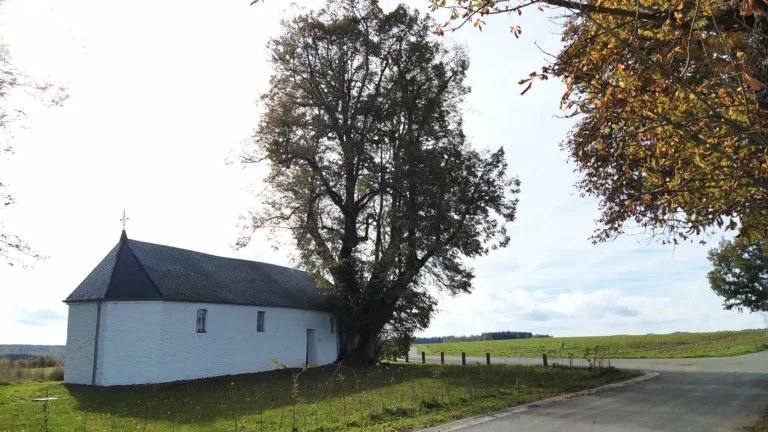 Notre-Dame du Bon Secours d’Oizy : la chapelle de pèlerinage sur la colline