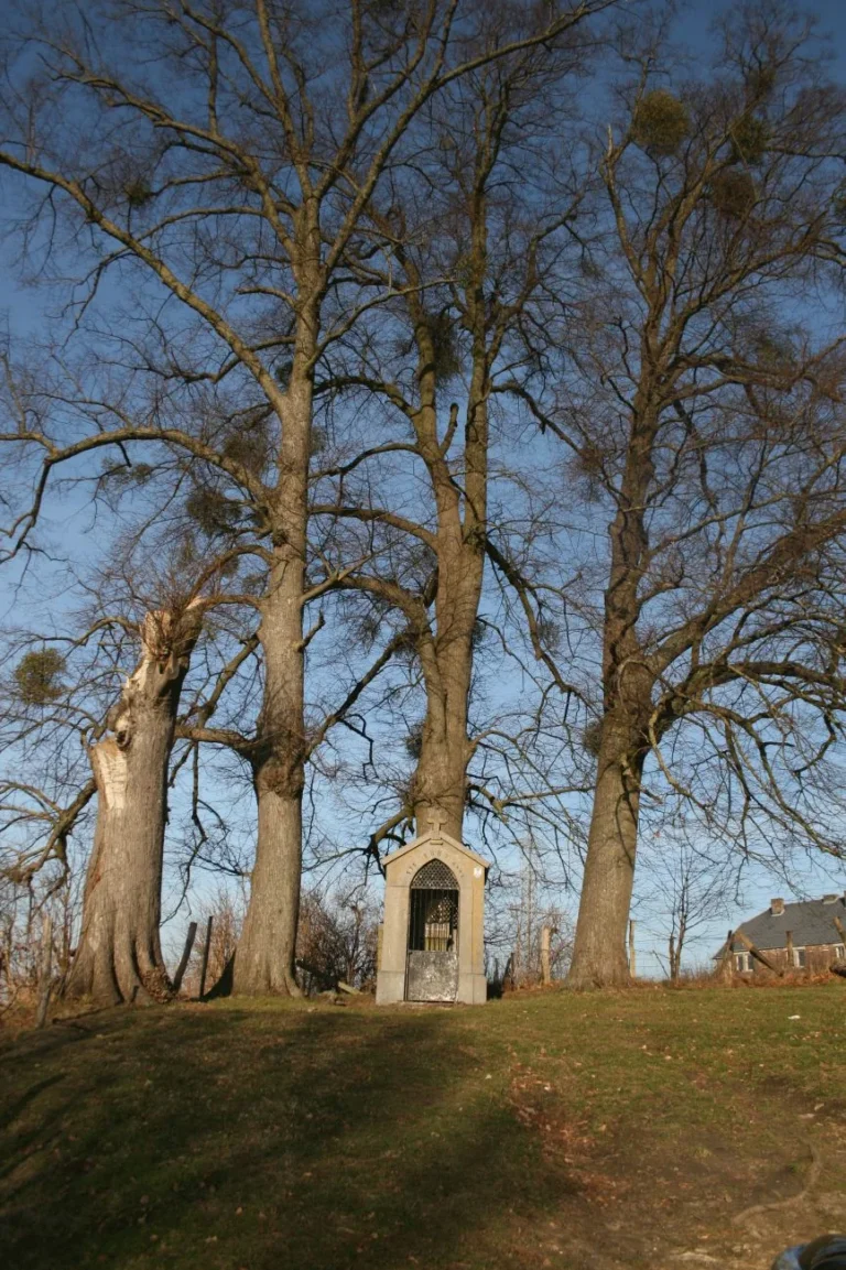 Chapelle Sainte-Anne à Beyne-Heusay : la mémoire des cinq Bretons