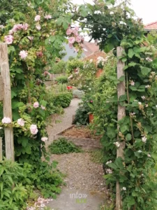 Parcelles de plantes médicinales en jardin médiéval aux Jardins de la Grange, Ellezelles
