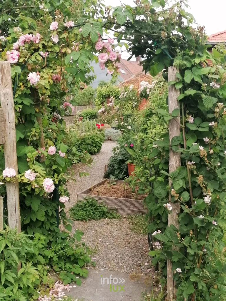 Les Jardins de la Grange à Ellezelles : plantes médicinales et jardin médiéval au Pays des Collines