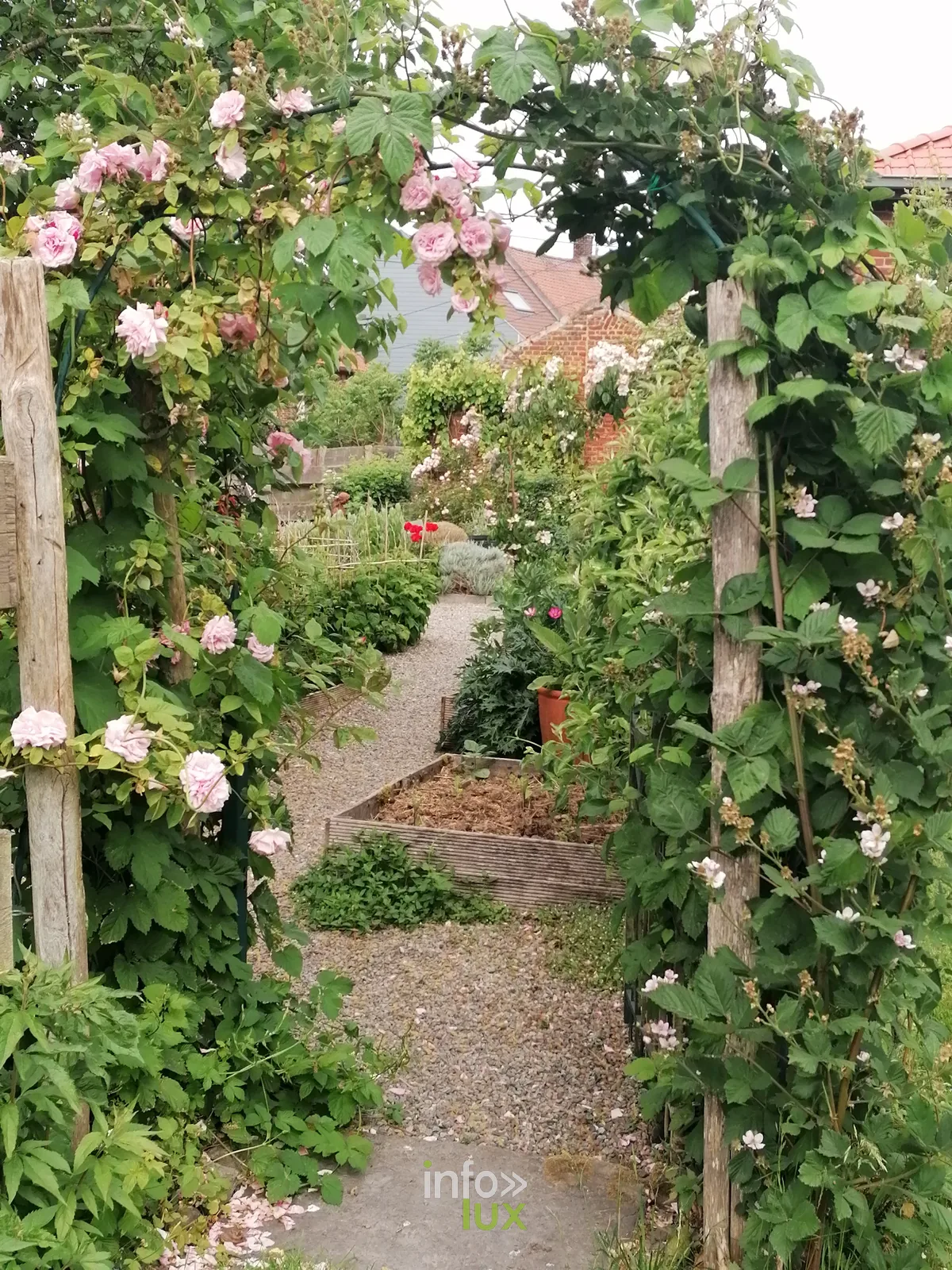 Parcelles de plantes médicinales en jardin médiéval aux Jardins de la Grange, Ellezelles