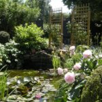 Jardins en pays de Liège - Strée 2026