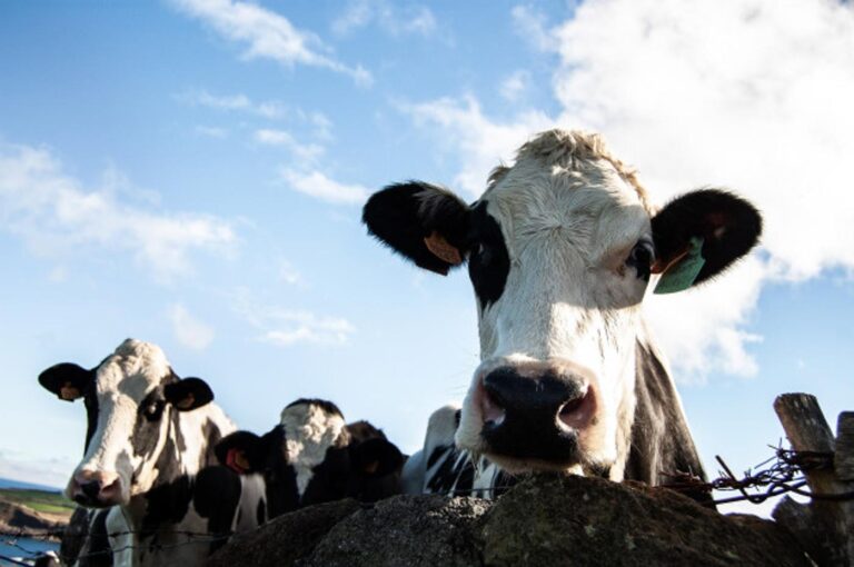 Incourt > Terroir > Journées Fermes Ouvertes en Brabant wallon 2026