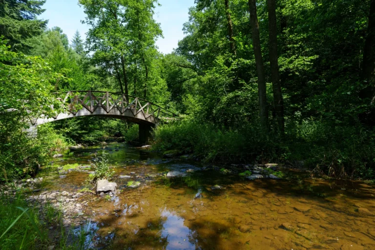Daverdisse > Balade > La balade des 4 saisons “Été”