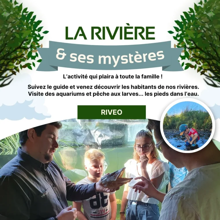 Hotton » Nature » La rivière et ses mystères