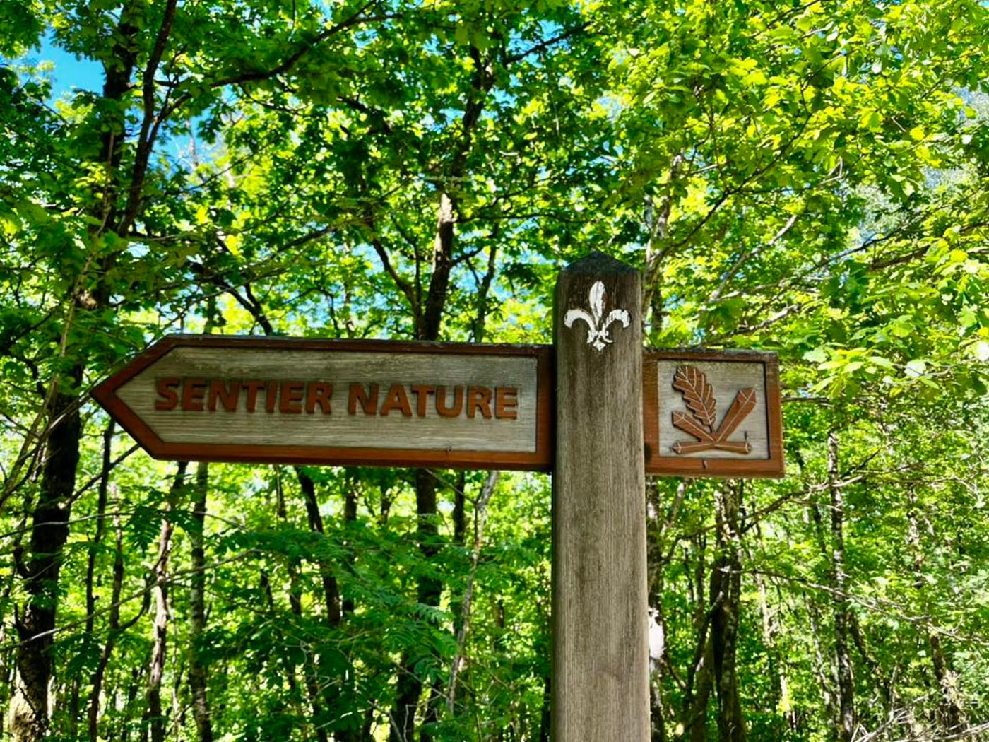 Affiche officielle Les balades nature des Ate'Lynes 2026