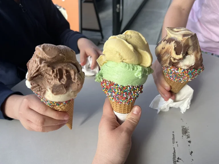 Les Saveurs d'Anso — illustration : glace artisanale (Journées Fermes Ouvertes 2026)