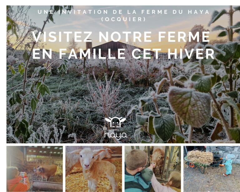Clavier » Famille » Les visites famille de la ferme du Haya 2026