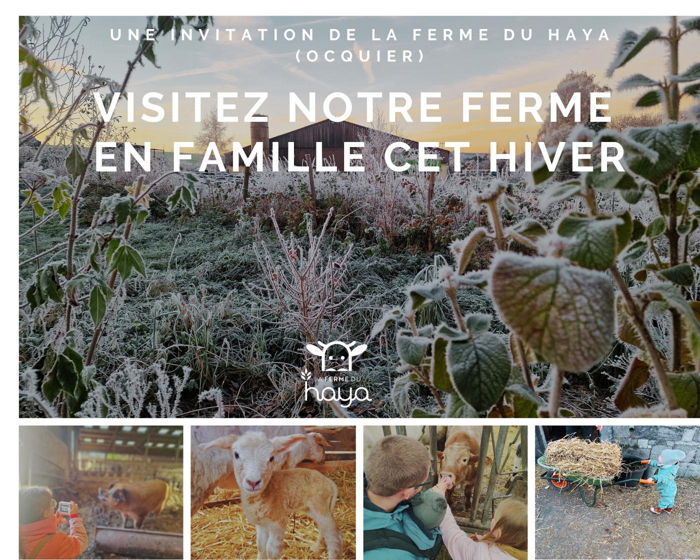 Affiche officielle Les visites famille de la ferme du Haya 2026