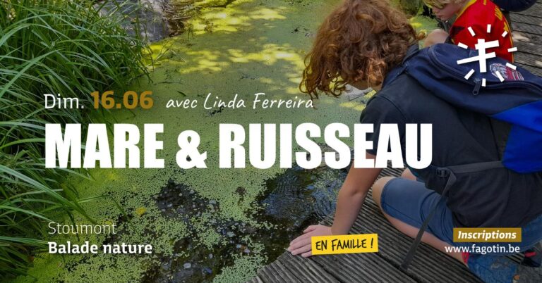 Stoumont » Sortie » Mare et ruisseau 2026