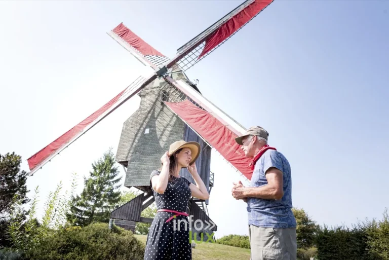 Le Moulin du Cat Sauvage à Ellezelles : la silhouette emblématique du Pays des Collines