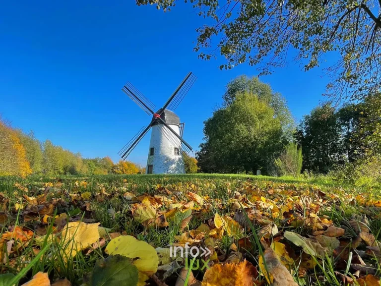 Le moulin à vent d’Opprebais (moulin Gustot) à Incourt : le plus bel exemple du genre en Brabant wallon