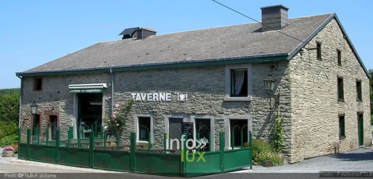 Neufchâteau > Musée vivant du jambon (Sanglochons): visite gourmande au pays du cochon-sanglier