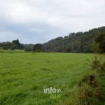 Vallee de l Ourthe pres de Durbuy, itineraire velo et randonnee en Famenne-Ardenne