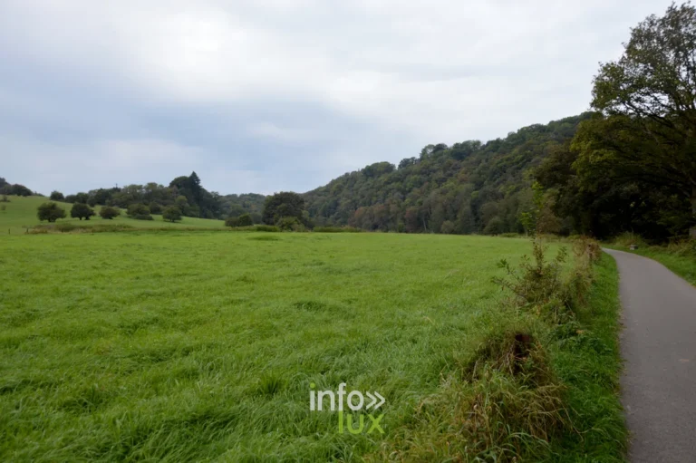 Parcs d’aventure & accrobranche en Ardenne et province de Luxembourg : le guide 2026