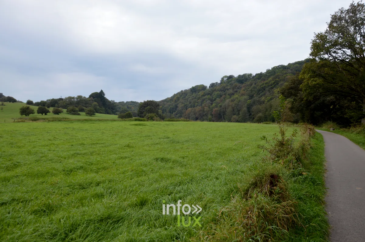 Vallee de l Ourthe pres de Durbuy, itineraire velo et randonnee en Famenne-Ardenne
