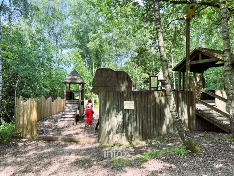 Le Parc Chlorophylle à Dochamps (Manhay) : découvrir la forêt en s’amusant