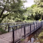Étangs et arbres remarquables du parc de Séroule à Verviers