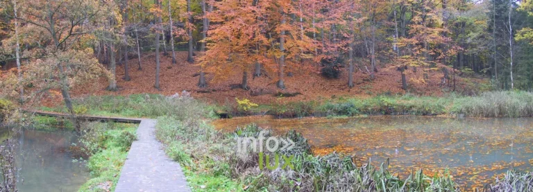 Le parc du Héron à Rixensart : 14 hectares de nature autour d’un château