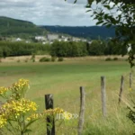 Forêt et vallée de la Sûre dans le Parc naturel Haute-Sûre Forêt d Anlier, Martelange