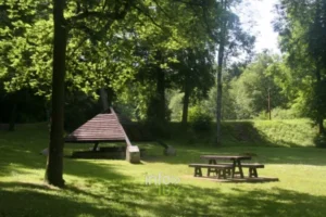 Étangs et arbres des Parcs Saint-Pierre et Sainte-Marie à Beauraing