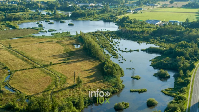L’étang de l’Ilé : pêche & nature en province de Luxembourg