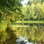 Les étangs de Habay, Habay, province de Luxembourg