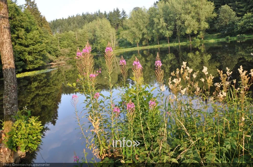 Les étangs de Habay, site de pêche & nature en province de Luxembourg