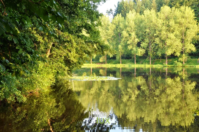 Les étangs de Habay, Habay, province de Luxembourg