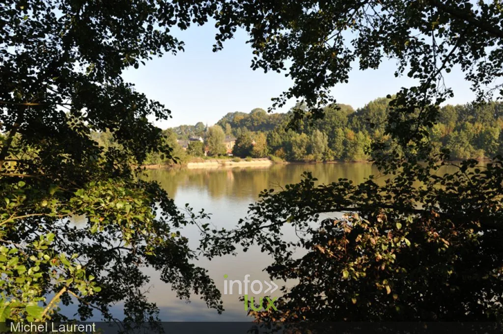 Les étangs de Latour, site de pêche & nature en province de Luxembourg