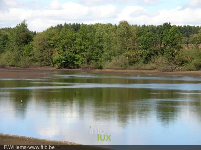 Les étangs de Luchy : pêche & nature en province de Luxembourg