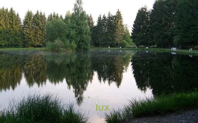La Pêcherie des Trois-Ponts, site de pêche & nature en province de Luxembourg