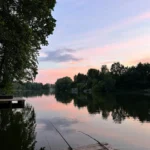 Cannes a carpe posees au bord d'un etang au coucher du soleil, ambiance peche de nuit en province de Luxembourg